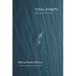 Tidal Events, Maria Ferencuhova
